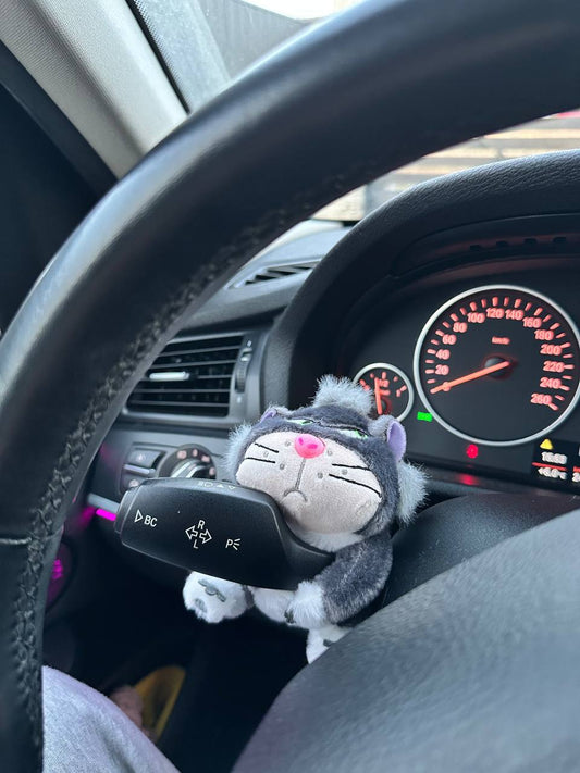 Décoration animale pour clignotant🥰