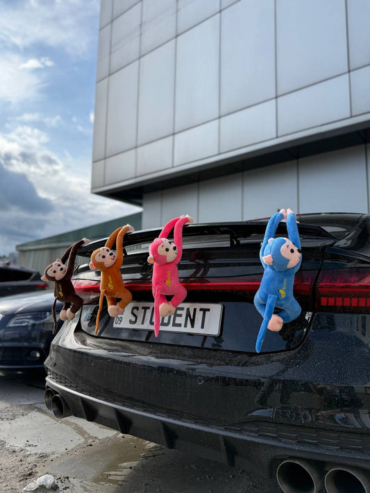 🐒 Singe pour voiture